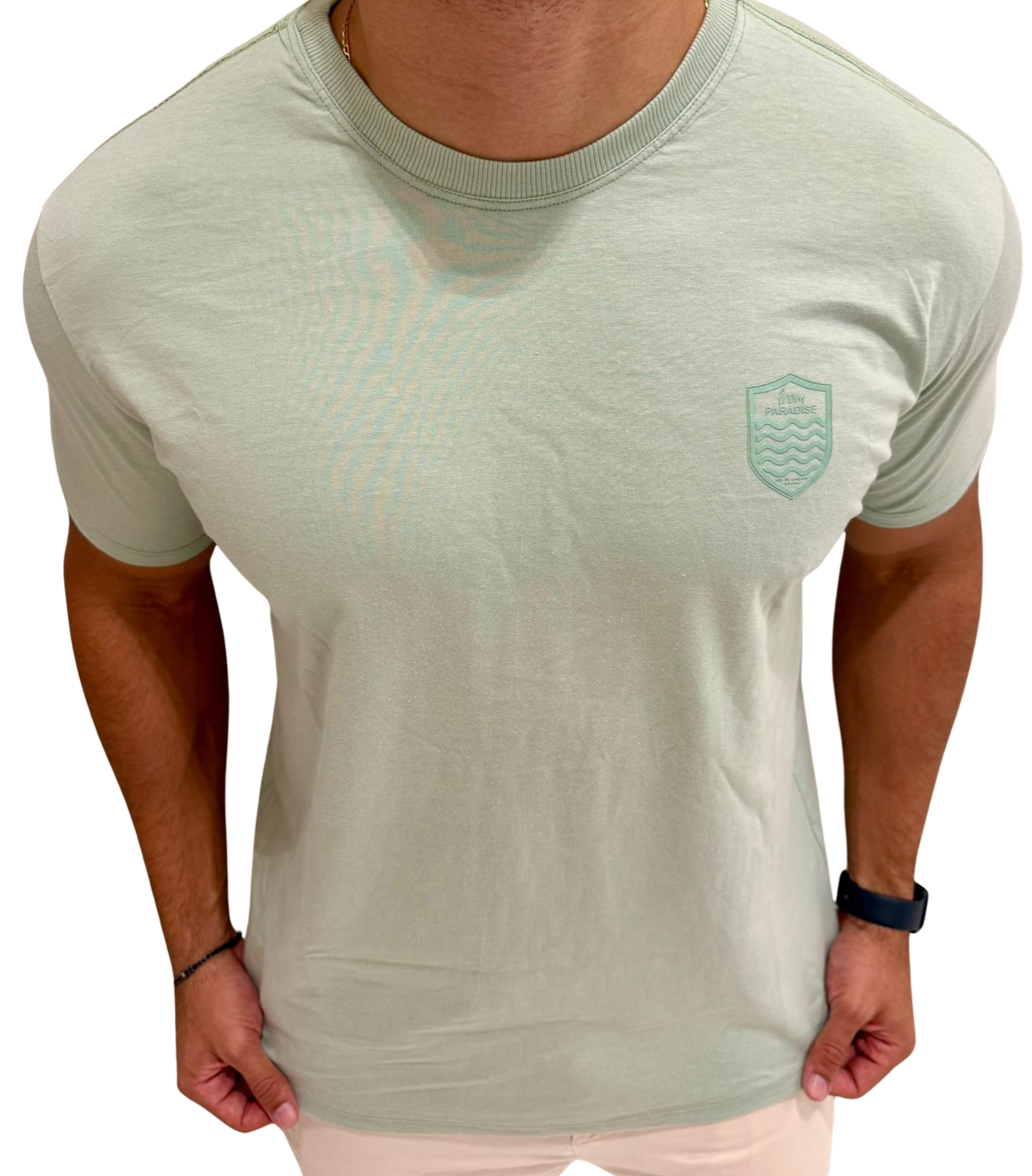 Camisa Bally Paradise Green