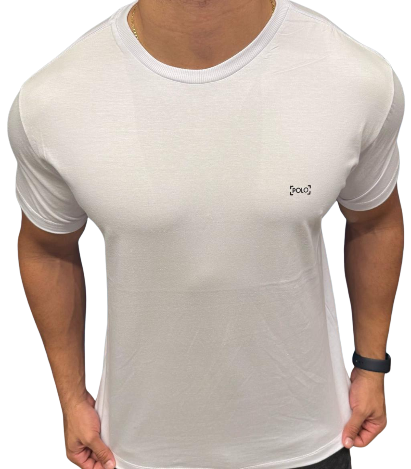 Polo Clothing Premium